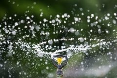 Microspray