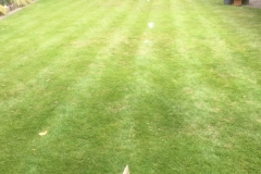 Lawn spray preparation