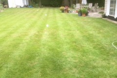 Lawn after