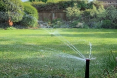 Dancing sprays