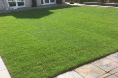 Lawn after installation