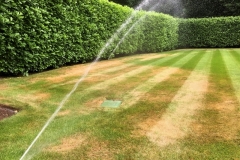 Lawn rotors