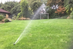 Central lawn rotors - Pumped system