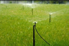 Irrigation-photos-sprays