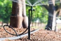 Micro-spray-under-large-trees