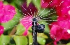 Microspray-on-flowers