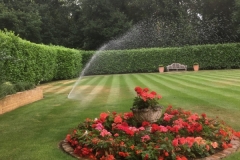 Rotor spray