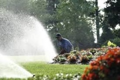 Pop-up-sprays-on-flowers